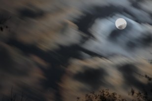 Dreamy trippy cloud motion above the trees and over the moon
